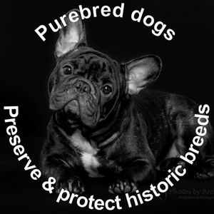 Meet your Posher, Kathryn